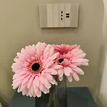 לינה וארוחת בוקר Rosa 3*