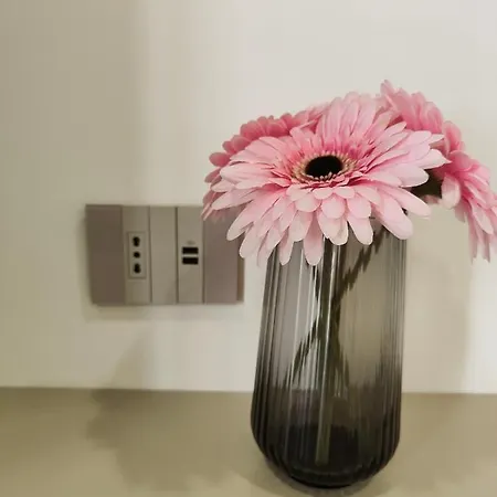 Rosa 폼페이